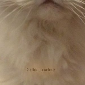 Meet your Posher, Loren