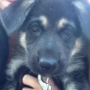 Meet your Posher, Kelsey