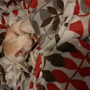 Meet your Posher, Judith