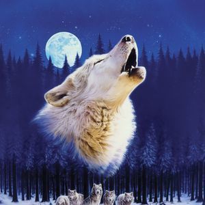 Meet your Posher, Fernando