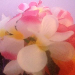 Meet your Posher, Nina