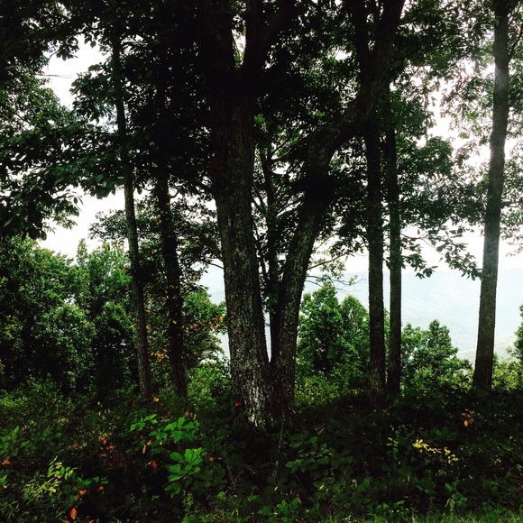 Meet your Posher, Cassandra - Picture 1 of 1