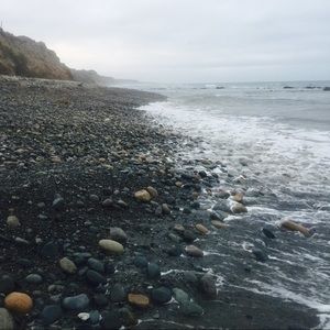 Meet your Posher, Savannah