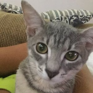 Meet your Posher, Karen