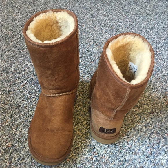 Chestnut uggs size 8