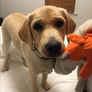 Meet your Posher, Olivia