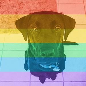 Meet your Posher, Cassi