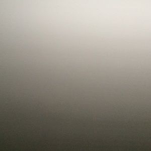 Meet your Posher, Tonnie