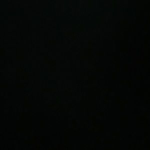 Meet your Posher, Lacey