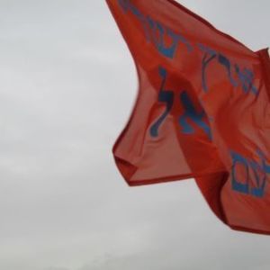 Meet your Posher, Chaya