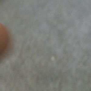 Meet your Posher, Cameron