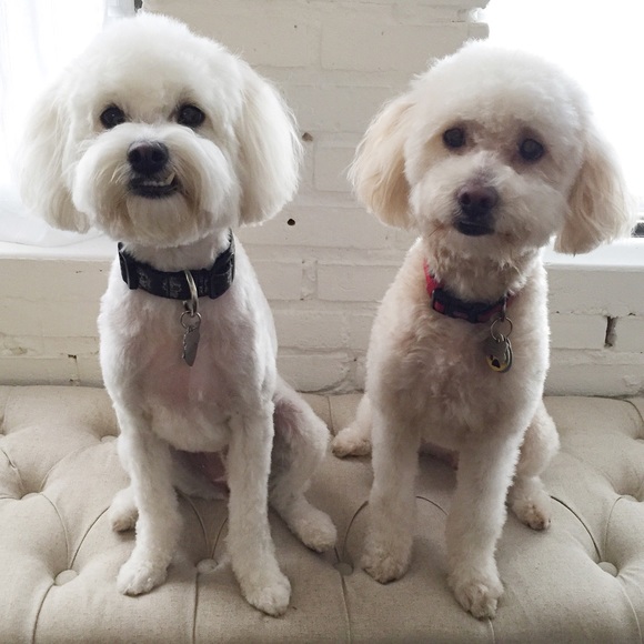 Meet your Posher, Katharine! - Picture 3 of 4