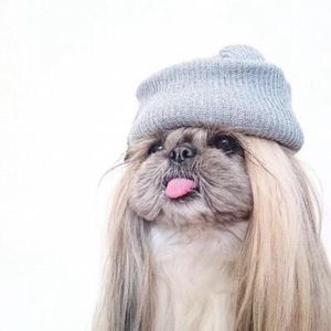 Meet your Posher, Ana