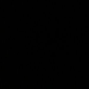 Meet your Posher, Jackson