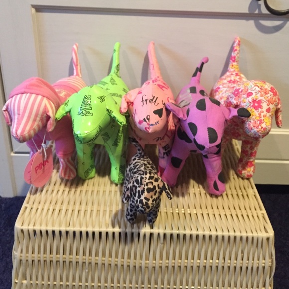 PINK dog bundle