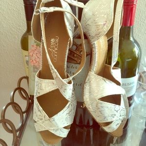 Professional Latin dance shoes