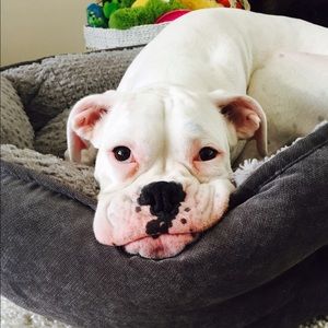 Meet your Posher, Carly