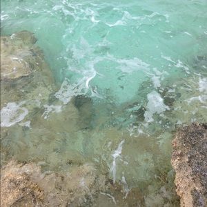 Meet your Posher, Allison