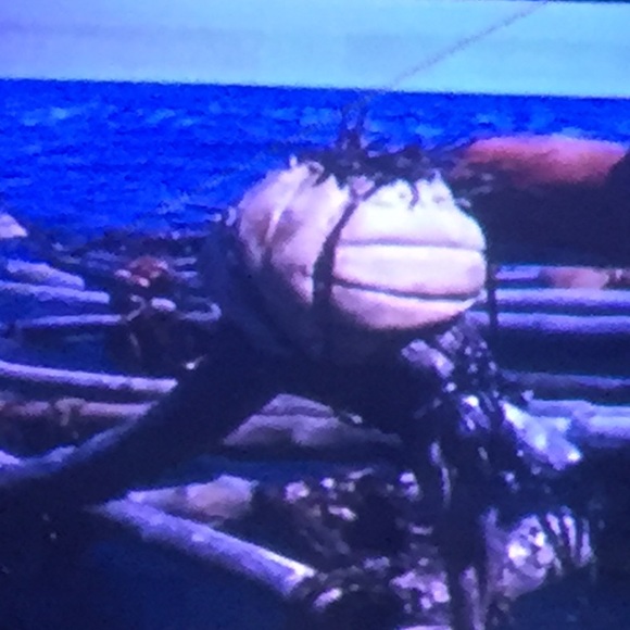 Meet your Posher, Matthew - Picture 1 of 1