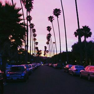 Meet your Posher, Yvonne