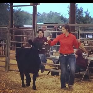 Meet your Posher, Hailey