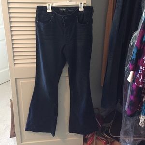 Brand new high waisted flare jeans