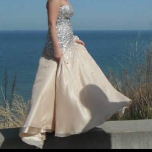 Prom Dress - Picture 3 of 4