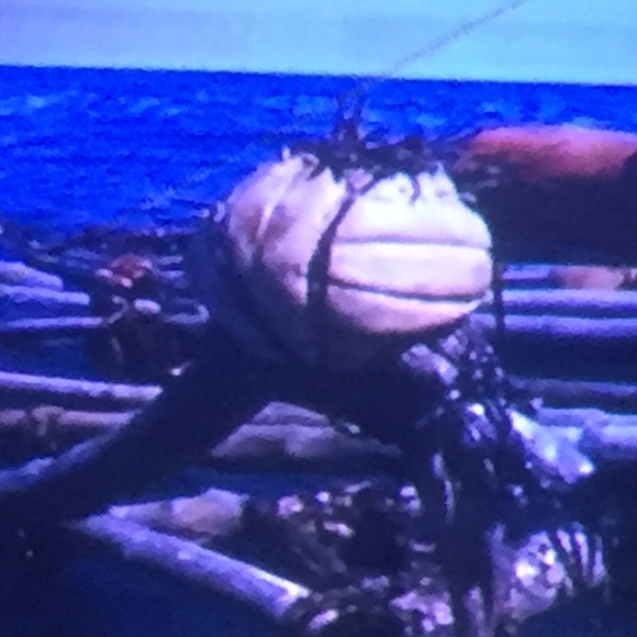 Wilson - Picture 1 of 1