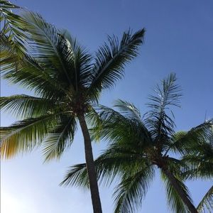 Meet your Posher, Sydney