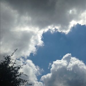 Meet your Posher, Daniela