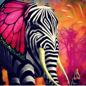 Meet your Posher, Katelyn