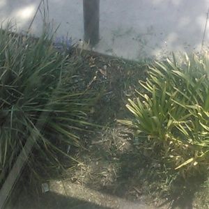 Meet your Posher, Isaac