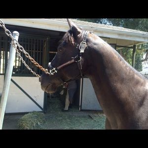 Meet your Posher, Eva