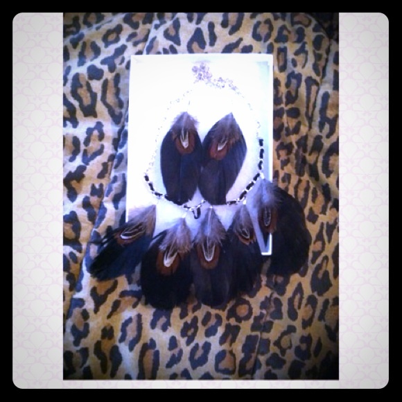 Beautiful Feather Necklace