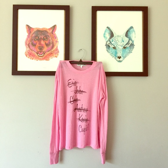 Wildfox Soft Long Sleeve Tee - Distressed