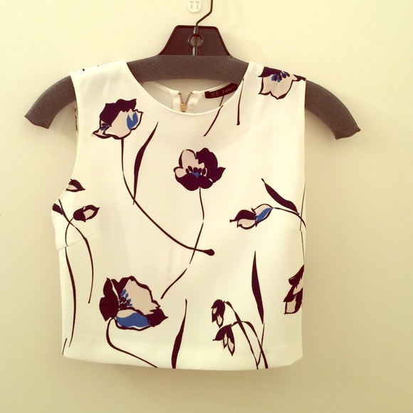 Zara Tops - Zara Crop Top