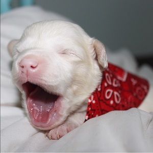 Meet your Posher, Jenn