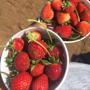 Meet your Posher, Lorena