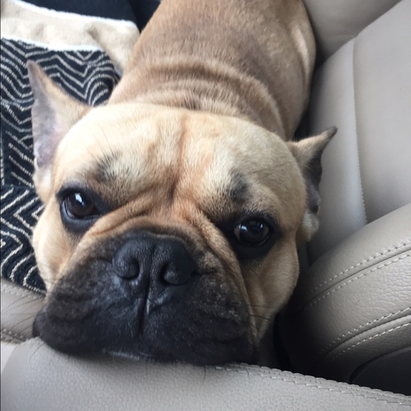 Meet your Posher, Stephanie - Picture 1 of 1