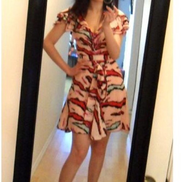 🎉SOLD🎉Zac Posen for Target Animal Print Dress - Picture 4 of 4