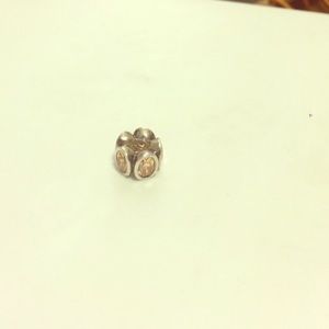 Pandora charm