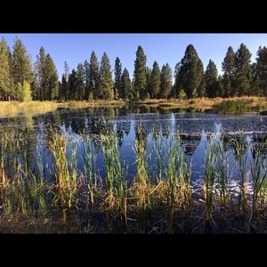 Meet your Posher, Deb