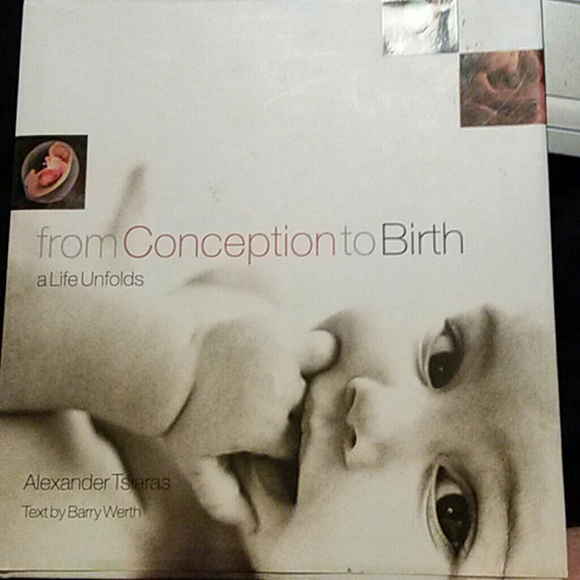 From Conception to Birth: a life unfolds