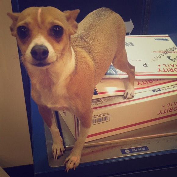 Shipments