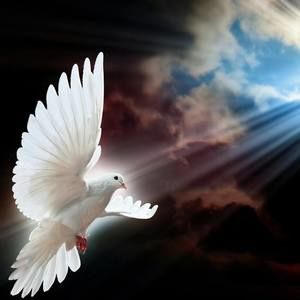 Meet your Posher, Manuel