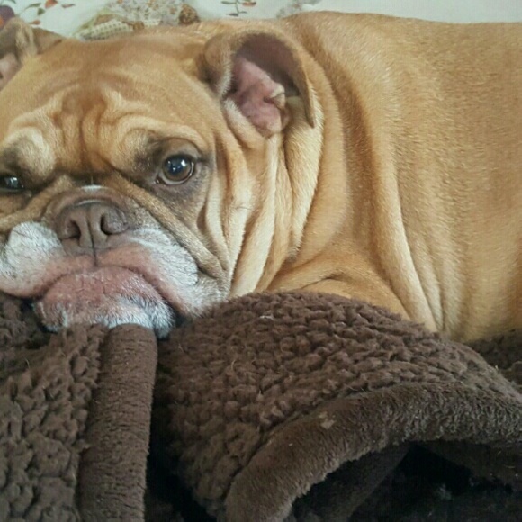 Meet your Posher, Kim - Picture 4 of 7