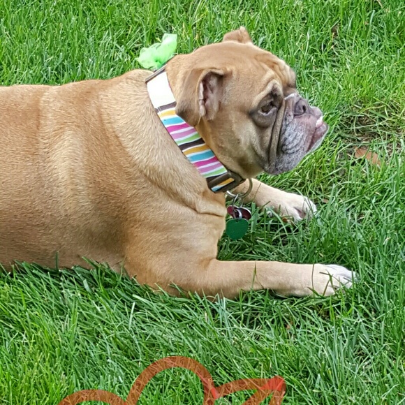 Meet your Posher, Kim - Picture 5 of 7