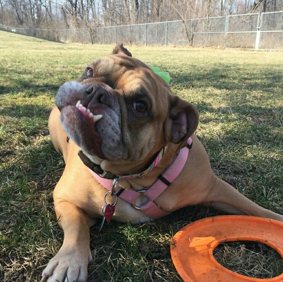 Meet your Posher, Kim - Picture 7 of 7