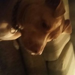 Meet your Posher, Sally