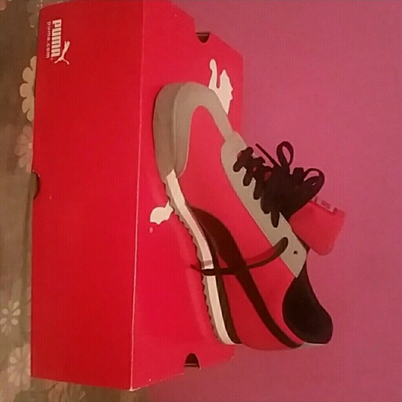 Pumas
